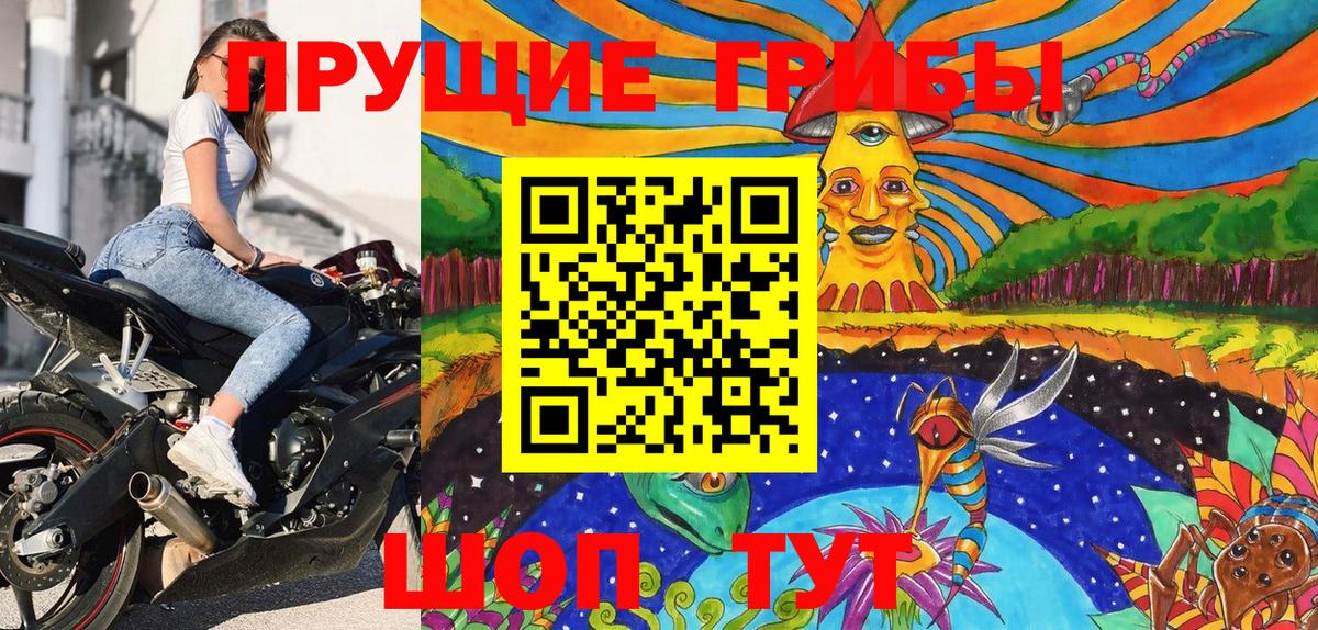 Псилоцибиновые грибы Psilocybe  Вход с VPN  Муром 